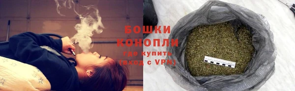 ПСИЛОЦИБИНОВЫЕ ГРИБЫ Балахна