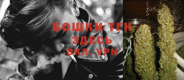 ПСИЛОЦИБИНОВЫЕ ГРИБЫ Балахна